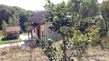 Фото номера Вилла Делюкс Виллы Cabana 7 Brazi г. Пояна-Мэрулуй 38